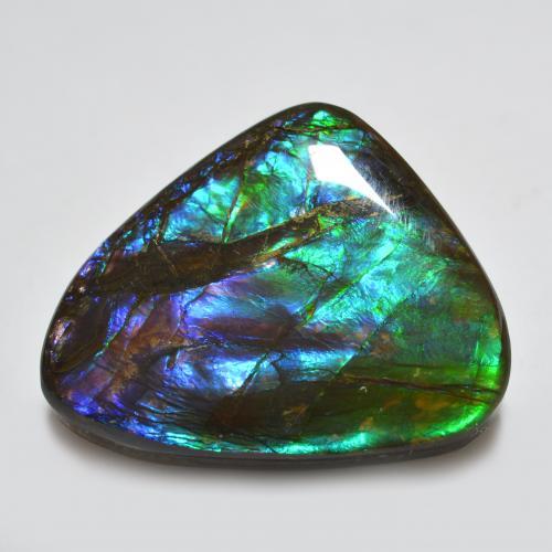 Ammolita multicolor natural de 22,91 ct, forma elegante, opaco