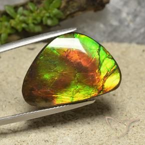 amolita Multicolor natural de 18.57 ct, Elegante, Opaco