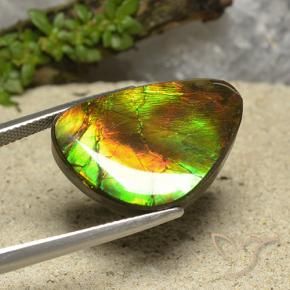 amolita Multicolor natural de 18.57 ct, Elegante, Opaco