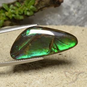 amolita Multicolor natural de 15.08 ct, Elegante, Opaco