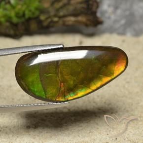 amolita Multicolor natural de 17.01 ct, Elegante, Opaco