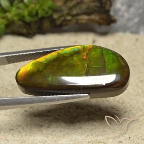 amolita Multicolor natural de 17.01 ct, Elegante, Opaco