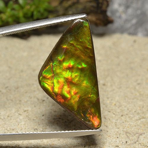 12.19ct Natural Multicolor amolita, Trillón, Opaco