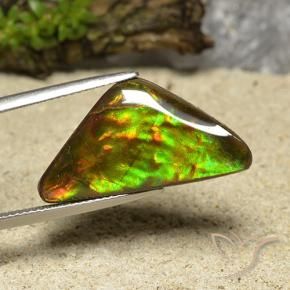 amolita Multicolor natural de 12.19 ct, Trillón, Opaco