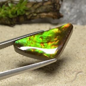 amolita Multicolor natural de 12.19 ct, Trillón, Opaco