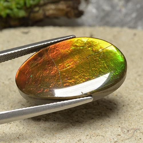 amolita Multicolor natural de 20.87 ct, Elegante, Opaco