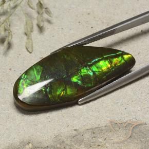 amolita Multicolor natural de 19.53 ct, Elegante, Opaco
