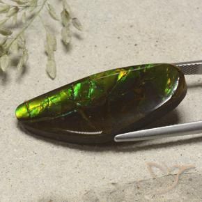 amolita Multicolor natural de 19.53 ct, Elegante, Opaco