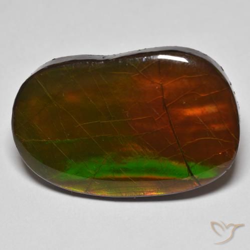 22.58ct Natural Multicolor amolita, Elegante, Opaco
