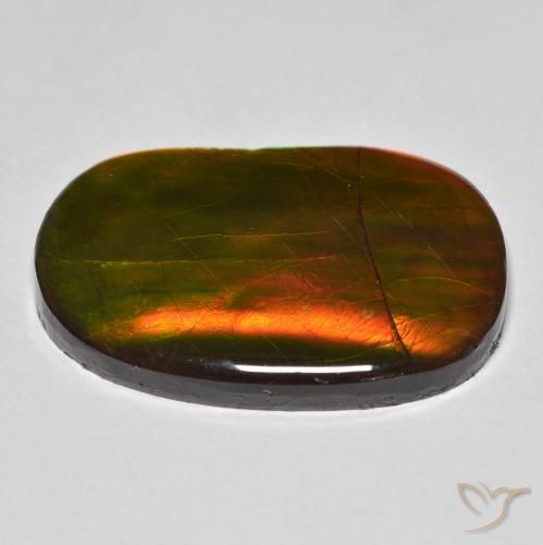 amolita Multicolor natural de 22.58 ct, Elegante, Opaco