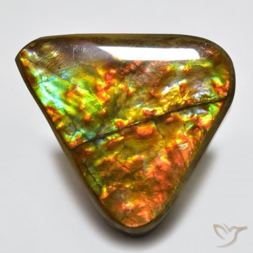 amolita Multicolor natural de 16.58 ct, Trillón, Opaco
