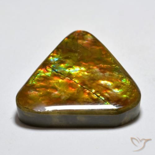 amolita Multicolor natural de 16.58 ct, Trillón, Opaco