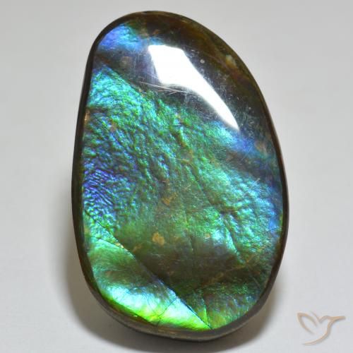 23.81ct Natural Multicolor amolita, Elegante, Opaco