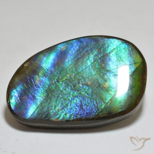 amolita Multicolor natural de 23.81 ct, Elegante, Opaco