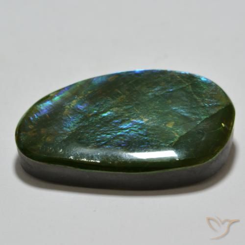 amolita Multicolor natural de 23.81 ct, Elegante, Opaco