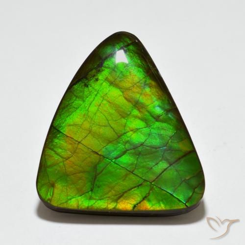 20.44ct Natural Multicolor amolita, Elegante, Opaco