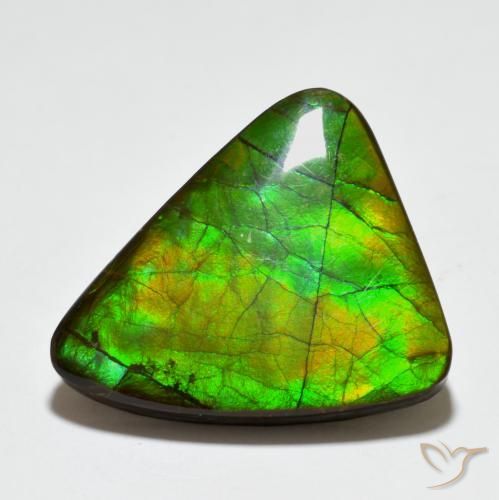 amolita Multicolor natural de 20.44 ct, Elegante, Opaco