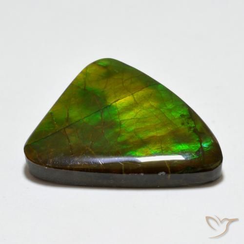 amolita Multicolor natural de 20.44 ct, Elegante, Opaco