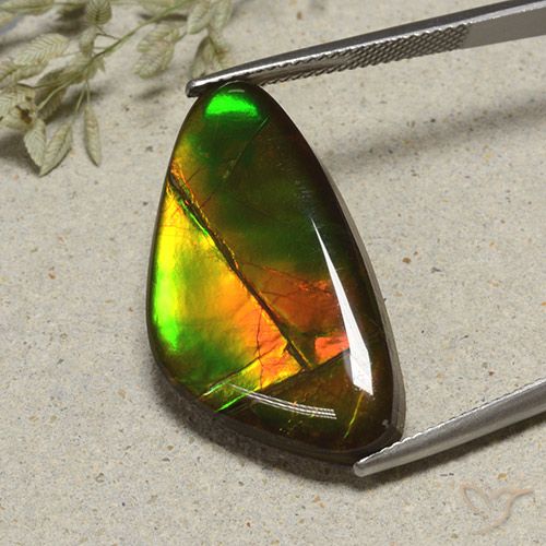17.24ct Natural Multicolor amolita, Elegante, Opaco
