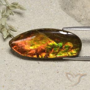 amolita Multicolor natural de 15.74 ct, Elegante, Opaco