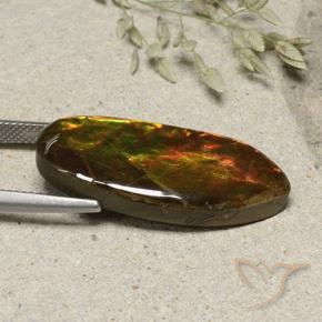 amolita Multicolor natural de 15.74 ct, Elegante, Opaco