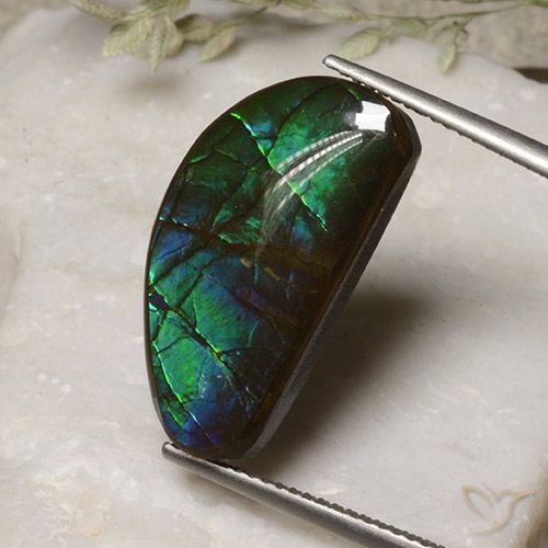 13.17ct Natural Multicolor amolita, Elegante, Opaco