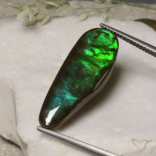 11.06ct Natural Multicolor amolita, Elegante, Opaco