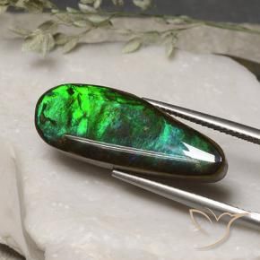 amolita Multicolor natural de 11.06 ct, Elegante, Opaco