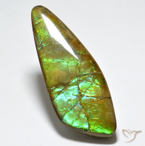 24.80ct Natural Multicolor amolita, Elegante, Opaco