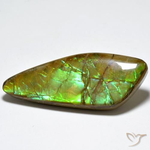 amolita Multicolor natural de 24.80 ct, Elegante, Opaco