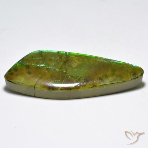 amolita Multicolor natural de 24.80 ct, Elegante, Opaco