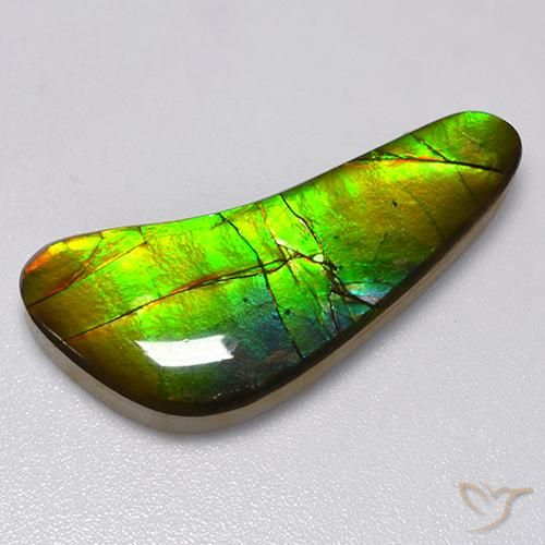 13.02ct Natural Multicolor amolita, Elegante, Opaco