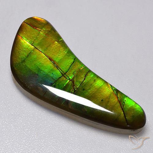 amolita Multicolor natural de 13.02 ct, Elegante, Opaco