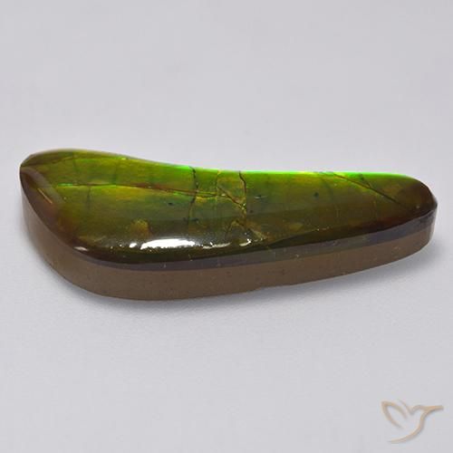 amolita Multicolor natural de 13.02 ct, Elegante, Opaco