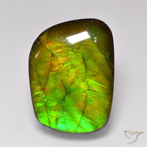 11.49ct Natural Multicolor amolita, Elegante, Opaco