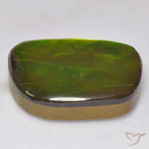 amolita Multicolor natural de 11.49 ct, Elegante, Opaco