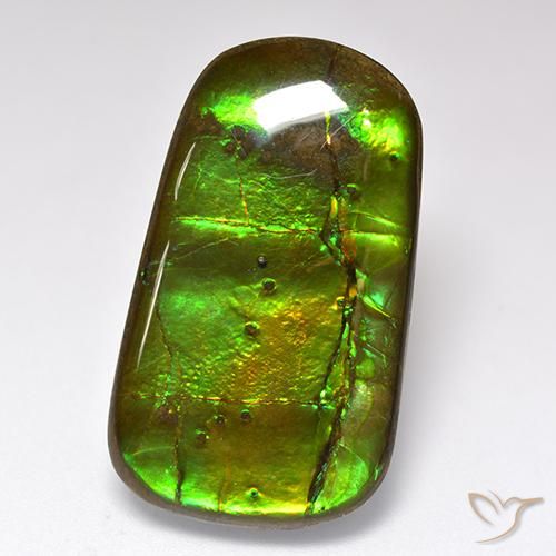 24.17ct Natural Multicolor amolita, Elegante, Opaco