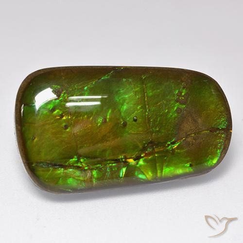 amolita Multicolor natural de 24.17 ct, Elegante, Opaco