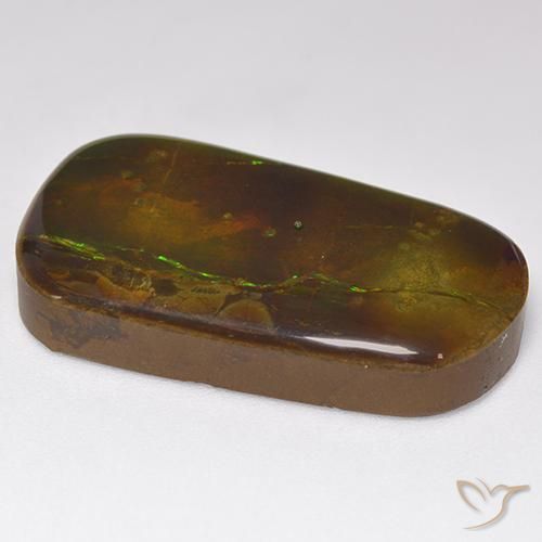 amolita Multicolor natural de 24.17 ct, Elegante, Opaco