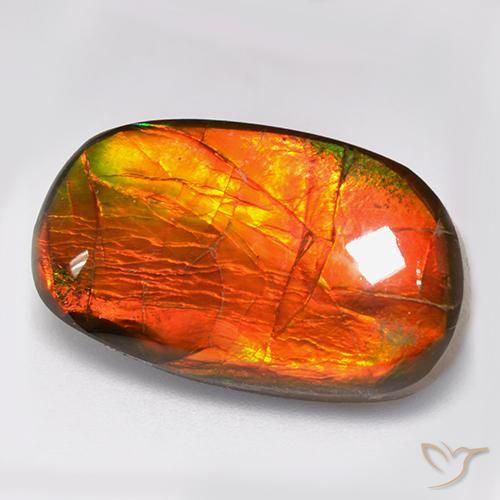 amolita Multicolor natural de 11.88 ct, Elegante, Opaco