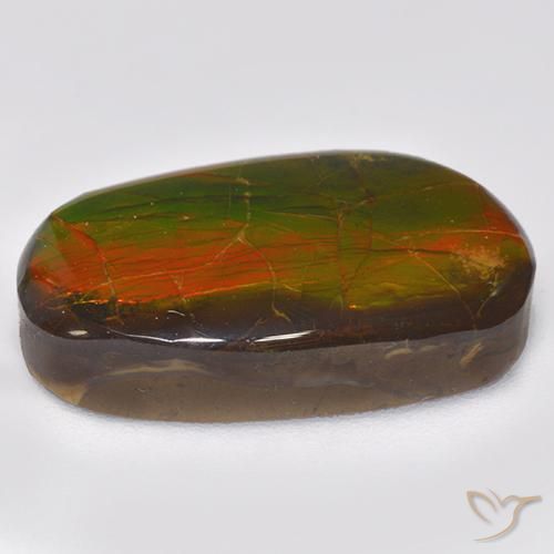 amolita Multicolor natural de 11.88 ct, Elegante, Opaco