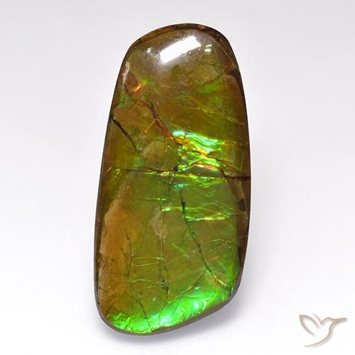 12.44ct Natural Multicolor amolita, Elegante, Opaco