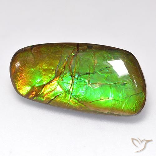 amolita Multicolor natural de 12.44 ct, Elegante, Opaco