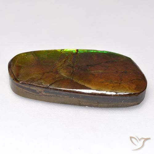 amolita Multicolor natural de 12.44 ct, Elegante, Opaco