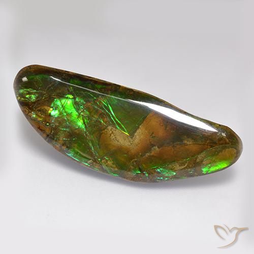 22.02ct Natural Multicolor amolita, Elegante, Opaco