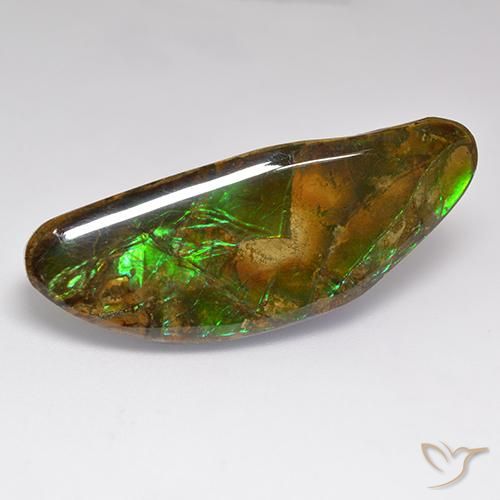 amolita Multicolor natural de 22.02 ct, Elegante, Opaco
