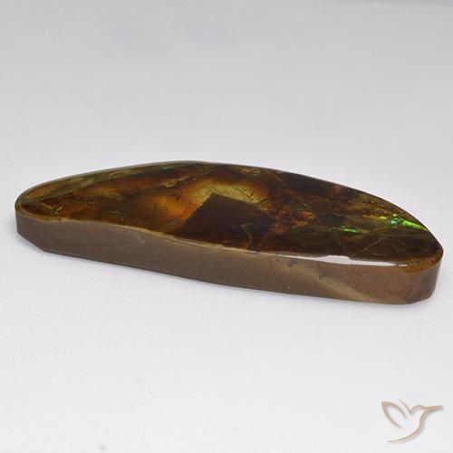 amolita Multicolor natural de 22.02 ct, Elegante, Opaco
