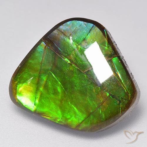 9.81ct Natural Multicolor amolita, Elegante, Opaco