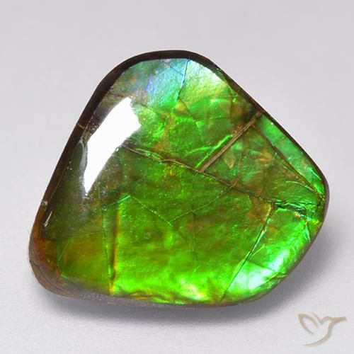 amolita Multicolor natural de 9.81 ct, Elegante, Opaco