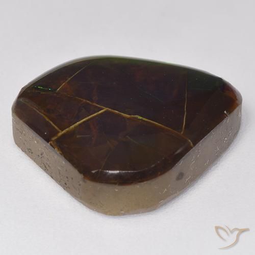 amolita Multicolor natural de 9.81 ct, Elegante, Opaco